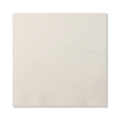 Tovaglioli Bianchi 2 veli compostabili  33X33cm, 20pz.