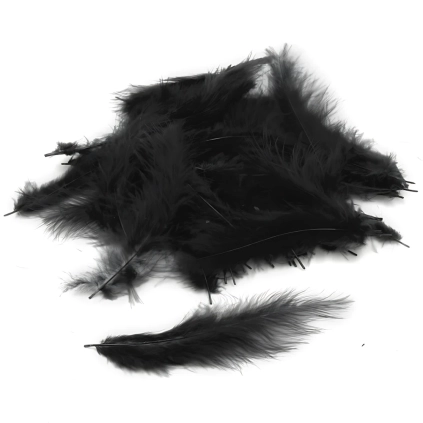 Piume Nere - Black Feathers, 100pz.