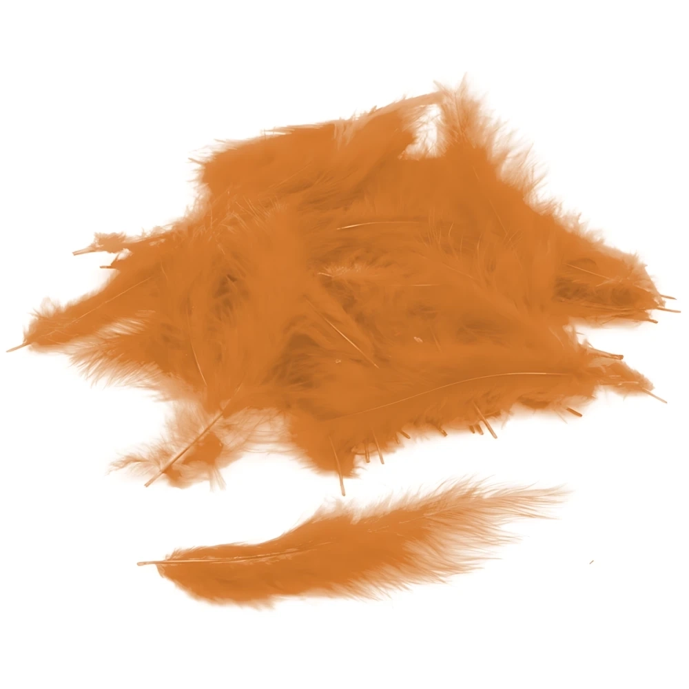 Piume Arancio - Orange Feathers, 100pz.