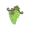 Palloncino Grappolo Uva Verde super shape 31" (78cm) in mylar, 1pz.