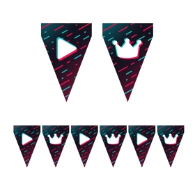 Festone bandierine Simil TikTok – 9 bandierine 20x30 cm, 3 metri