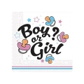 Tovaglioli Boy or Girl 33x33cm - 20pz
