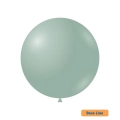 Palloncini Deco Line pastello 26" (66cm) Verde Polvere 259, 10pz.