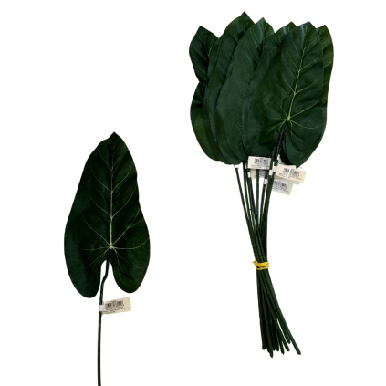 Foglia calla  60cm, 12pz.