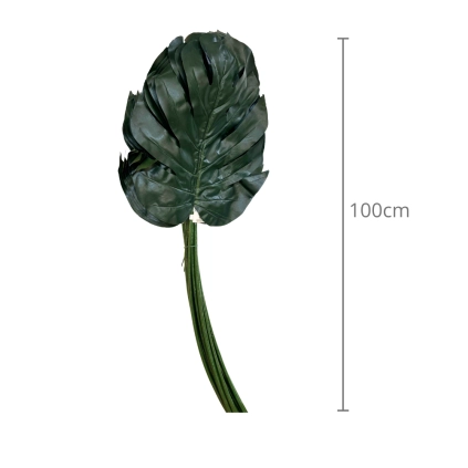 Philodendron Leaf 12pz